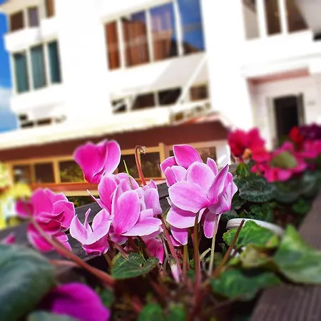 Royal Hotel